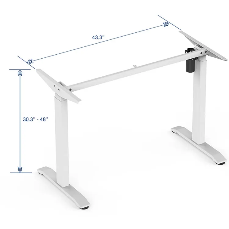 Ergonomics Professional Electric Lift Office Elevating Stand Up Desk Adjustable Height Bureau Debout