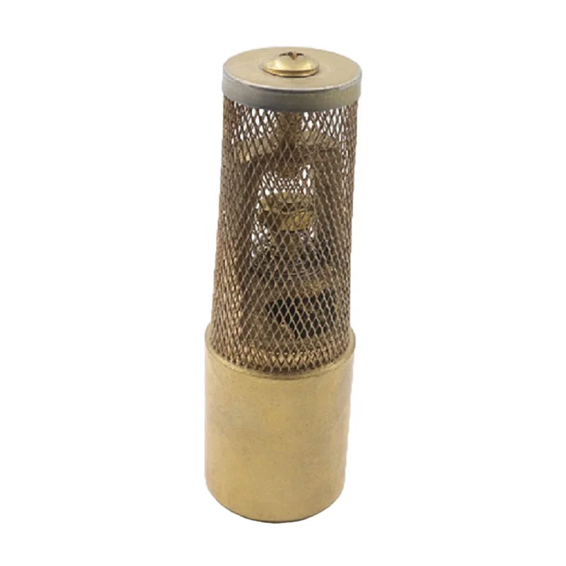 DN15 brass check valve with  Y type strainer