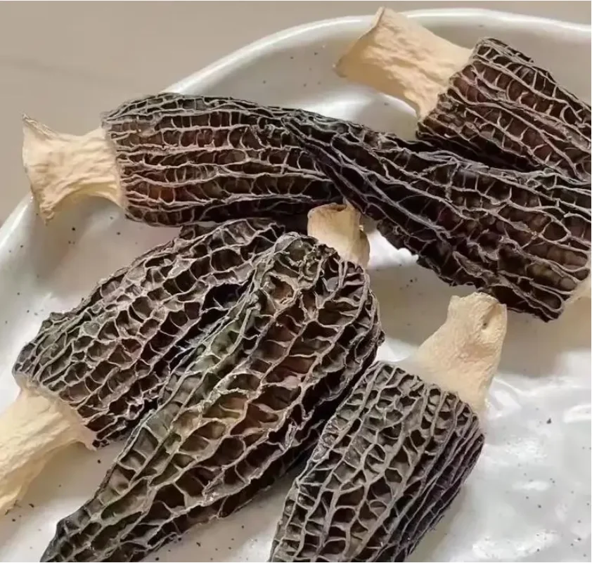 Hot Selling Dried and Fresh Morel Mushroom High Quality Cultivated Morchella Whole Part Raw and Dried Processing Box Packed