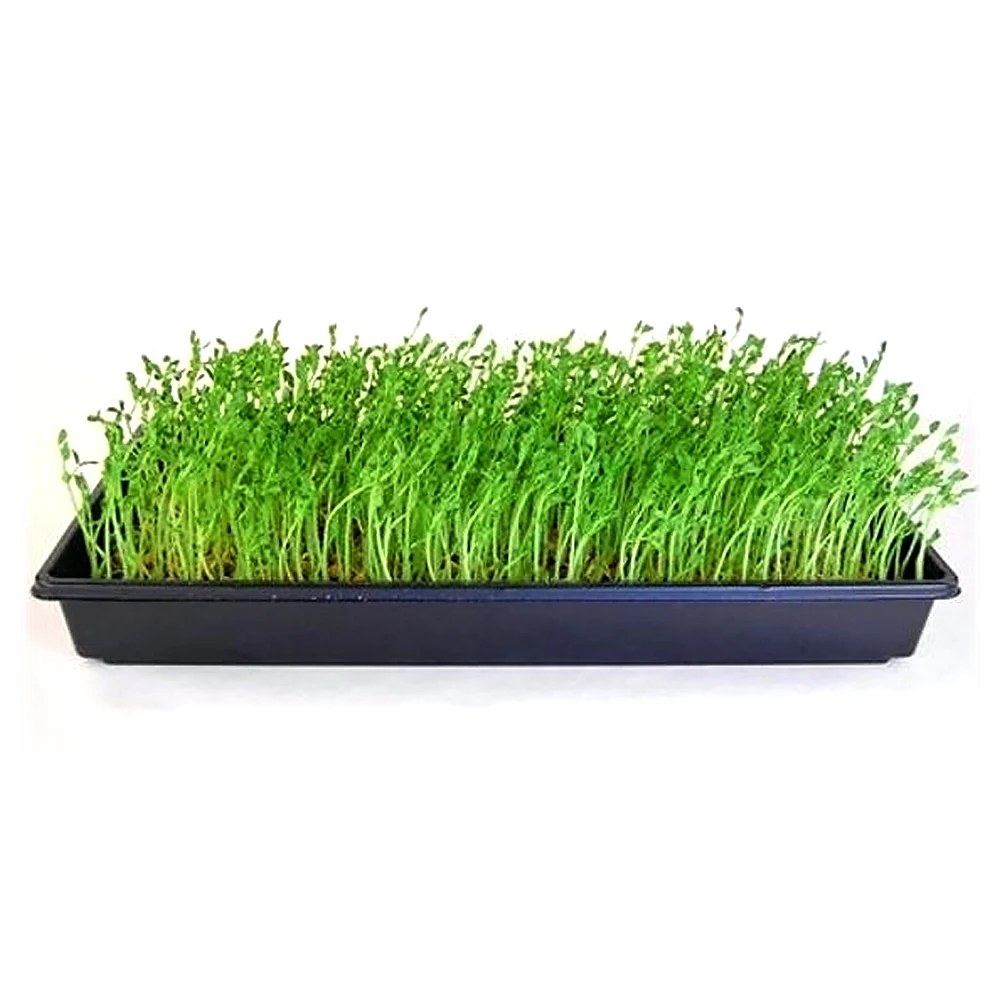 Factory Batch Greenhouse Plant Planting Seedling Germination Tray Hydroponic Tray