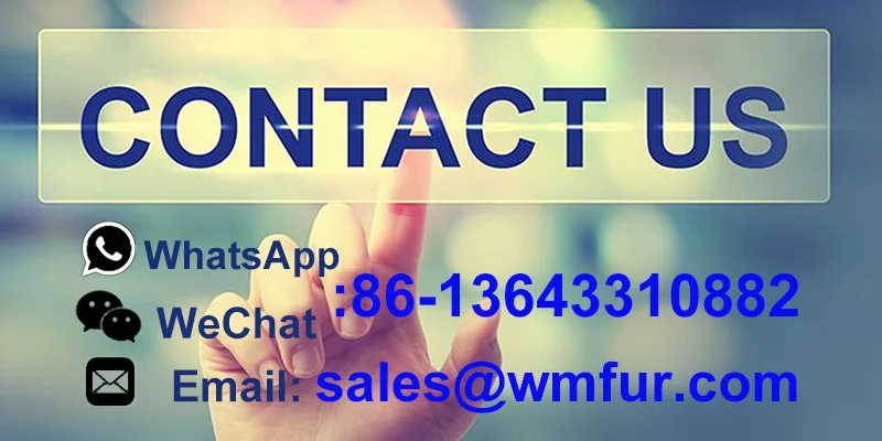 contact us.jpg