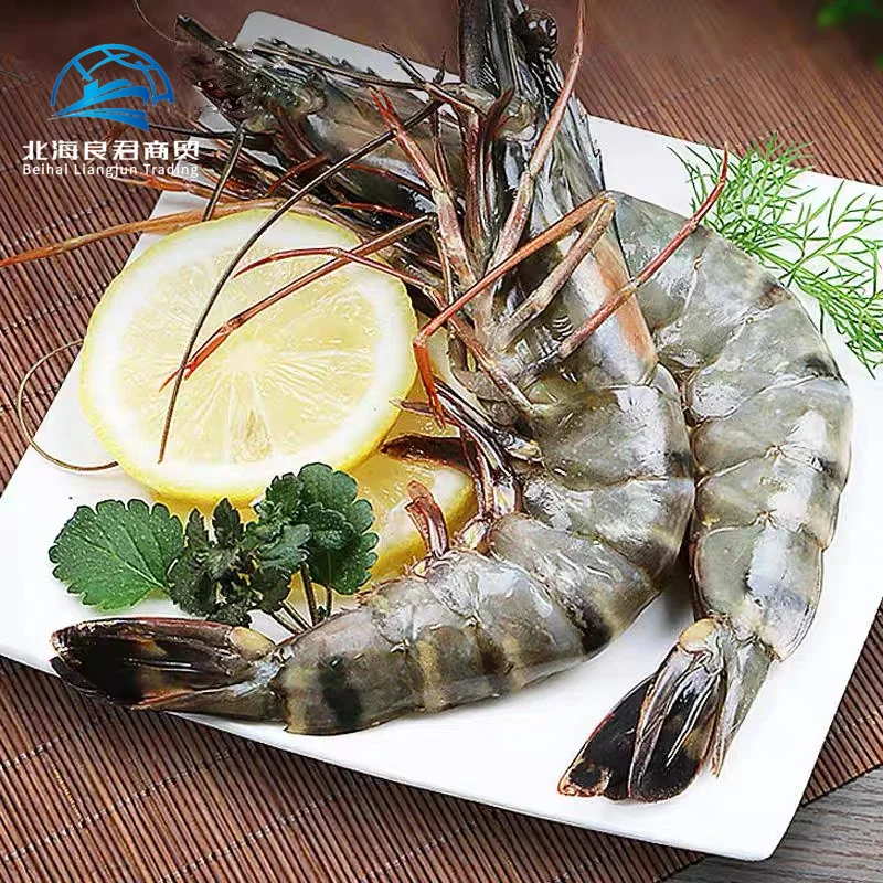 Direct Factory High Quality Wholesale importers White Shrimp/Fresh black tiger shrimps