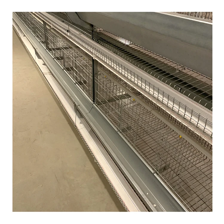 100000 Automatic H Type Laying Hens Galvanize Wire Chicken Layer Cage Poultry Farming