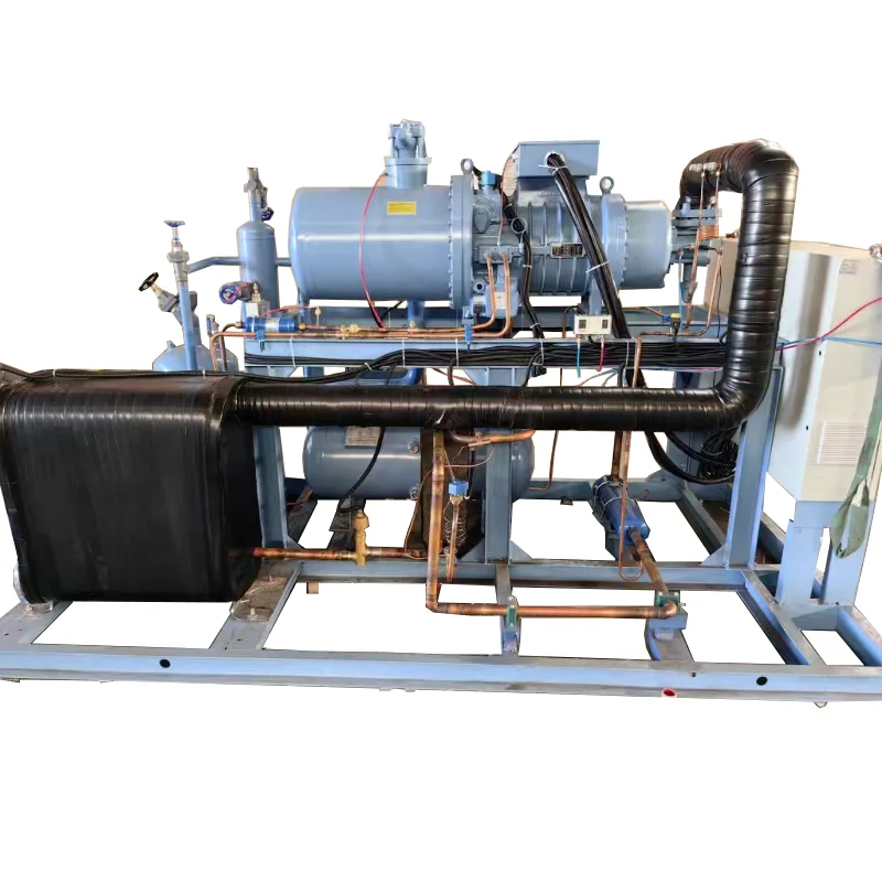 Cold chamber refrigeration freezing screw compressor condensing unit