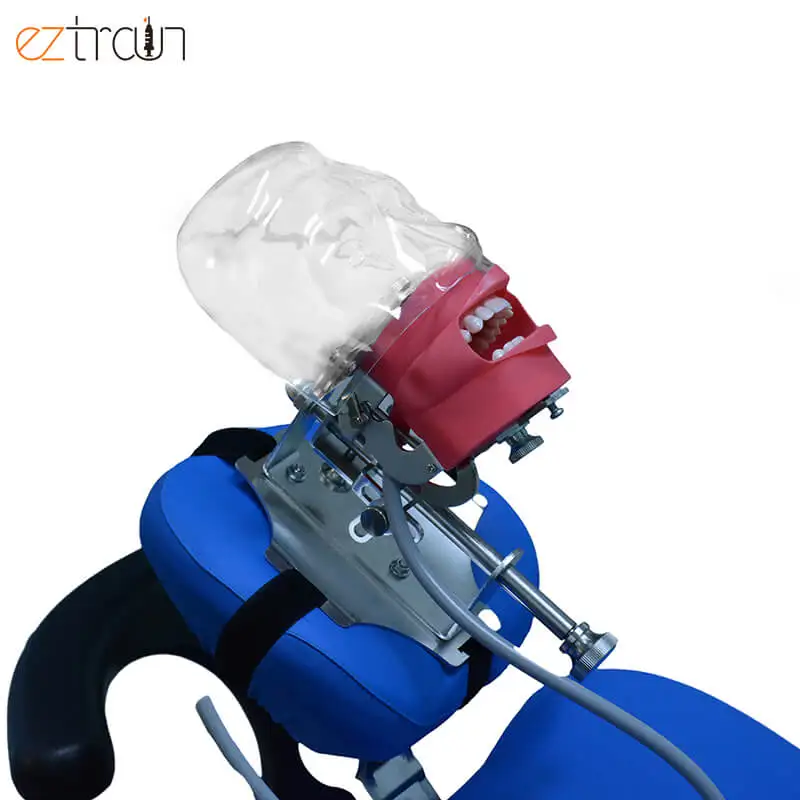 Dental Lab Strap-style Dental Chair Simulator Manikin Typodont Practice Adjustable Phantom Head