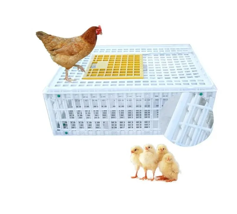 Taizhou Huangyan custom plastic injection molding CHICKEN TRANSPORT CAGE MOULD
