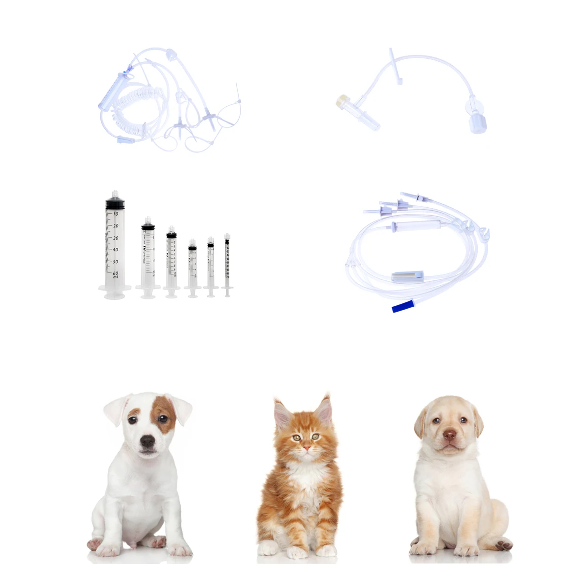 Disposable Veterinary Syringe Needle veterinary products Animal Veterinary Accessories veterinary needles