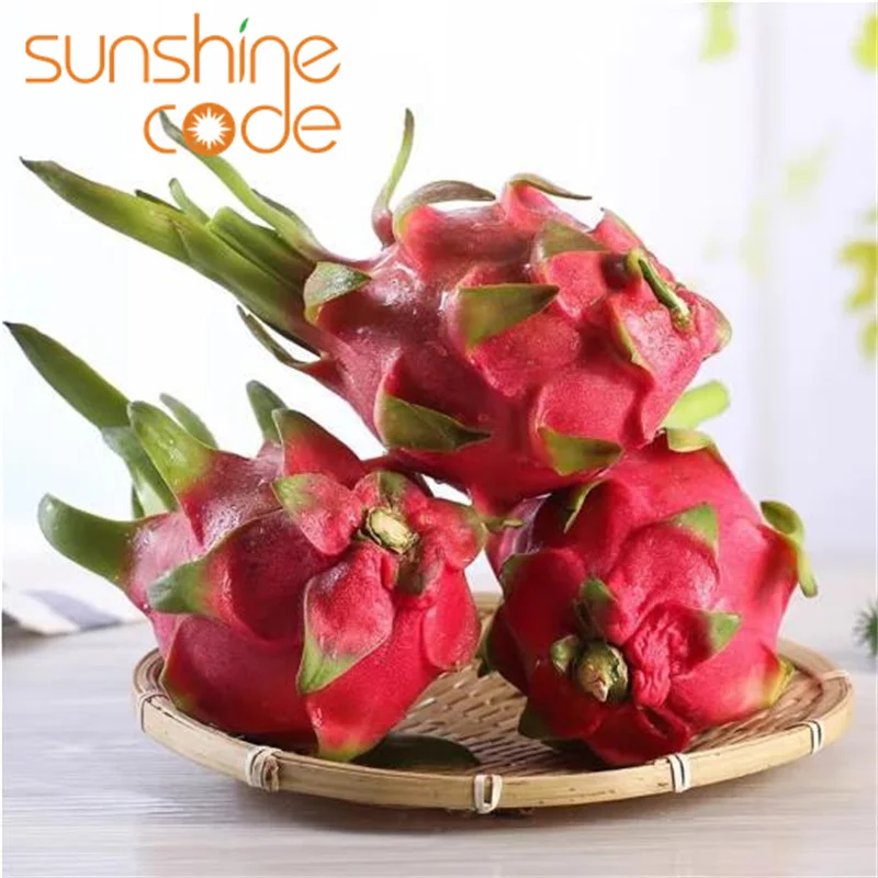 Sunshine Code Organic Dragon Fruit white pitaya fresh dragon fruit vietnam fast to delivery