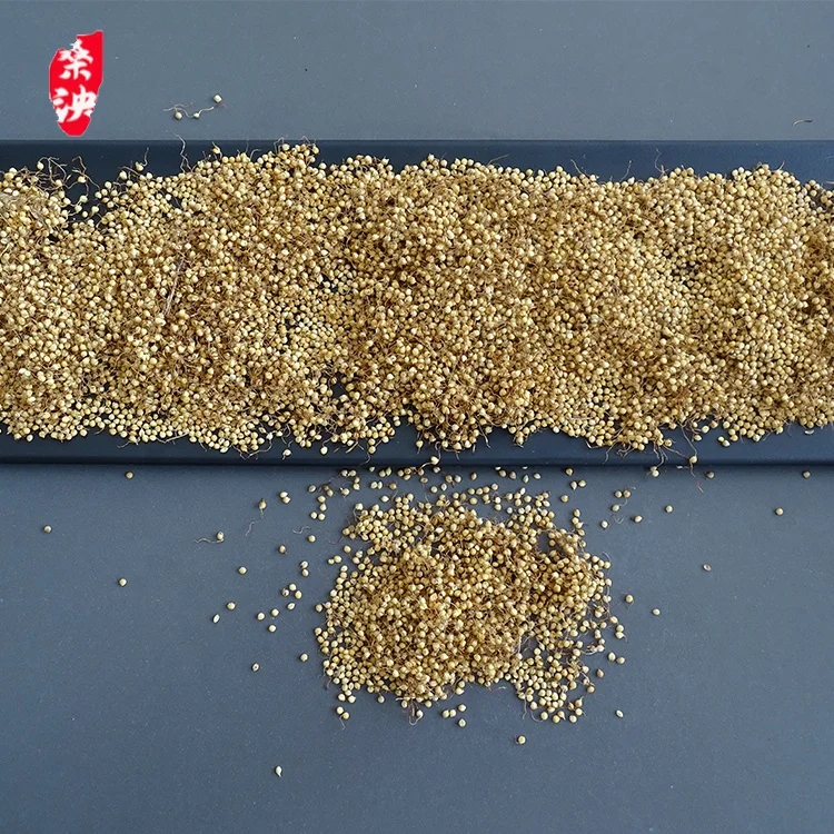 Premium natural harvested soft and hard ground wheat