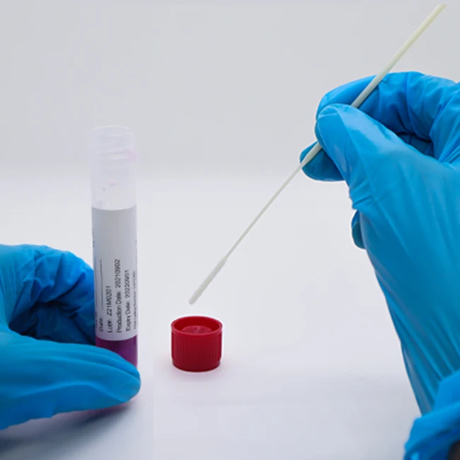 OEM/ODM Transport Medium Sample Disposable Saliva Collection Mouth Bucca Swabs Sterile Nasopharyngeal Oral Nasal Swab Stick