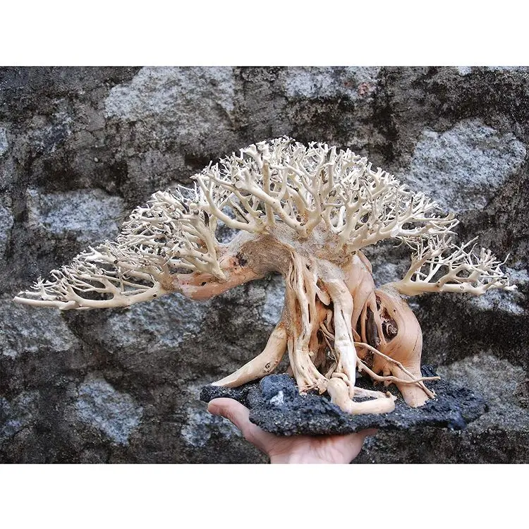 Large DIY  Driftwood For Aquarium