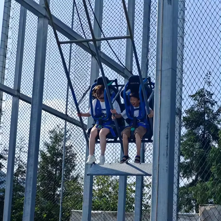 Chinese suppliers  Thrilling Swing Rides For Amusement Park