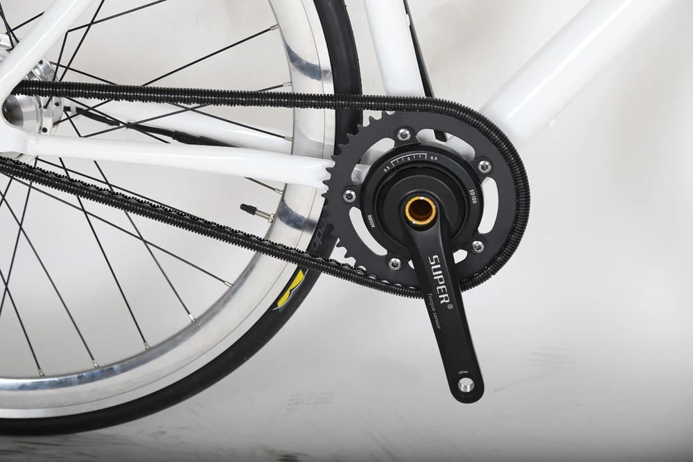 Fast Shipping Electric Vintage Bike 700C Babymaker Single Speed Racing Bike 250W Shengyi Motor Air Samsung Battery