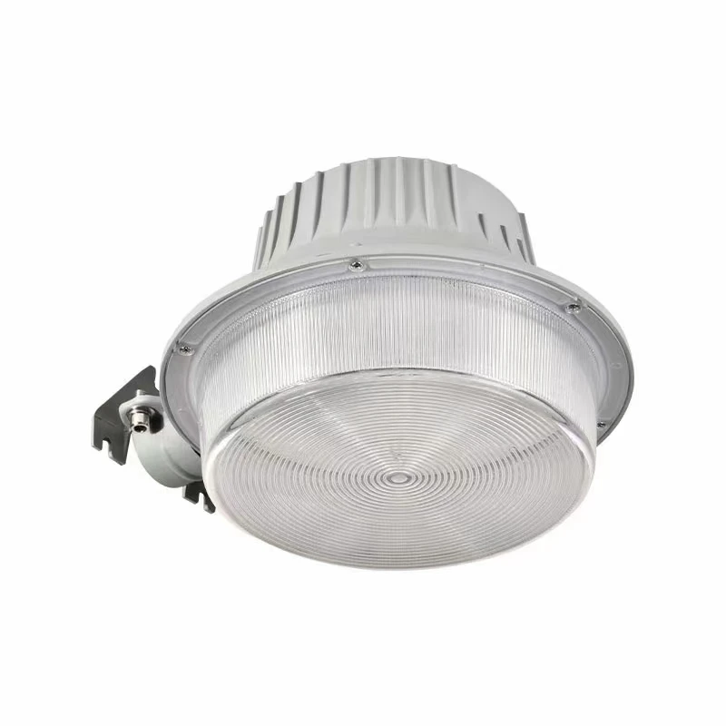 Probe Wall Mounted Street Light