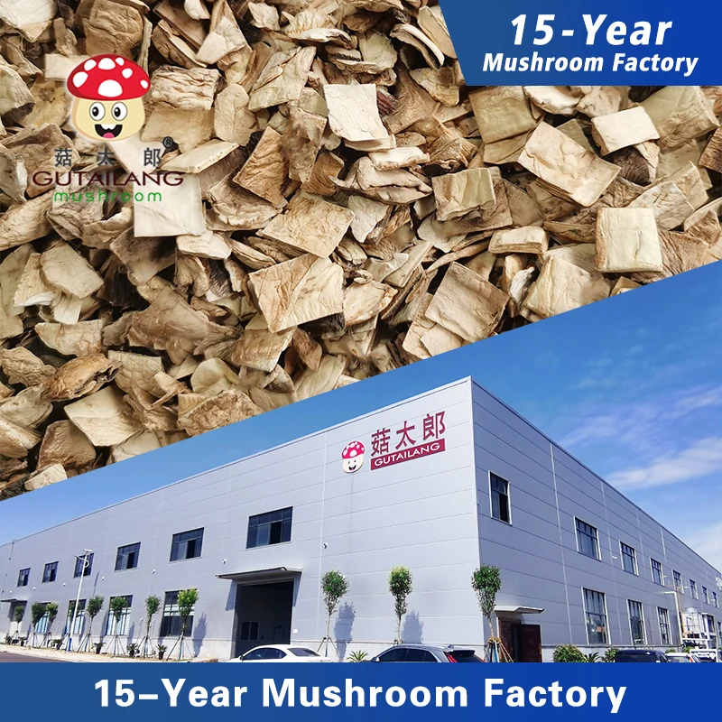 Factory Supply Wholesale Dried Champignon Granules Gutailang Dried Mushroom Cube Dried Champignon Diced Shiitake Mushroom