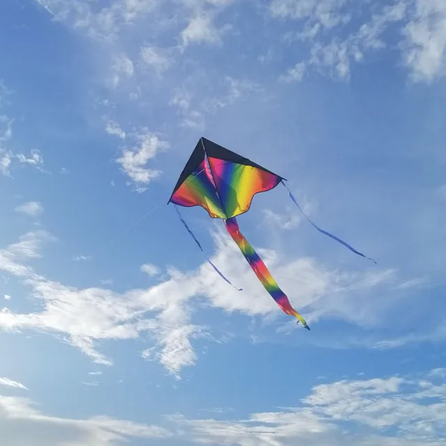 promotional Huge Kite With String And Handle Novelty Toy Kites Flying For Gift