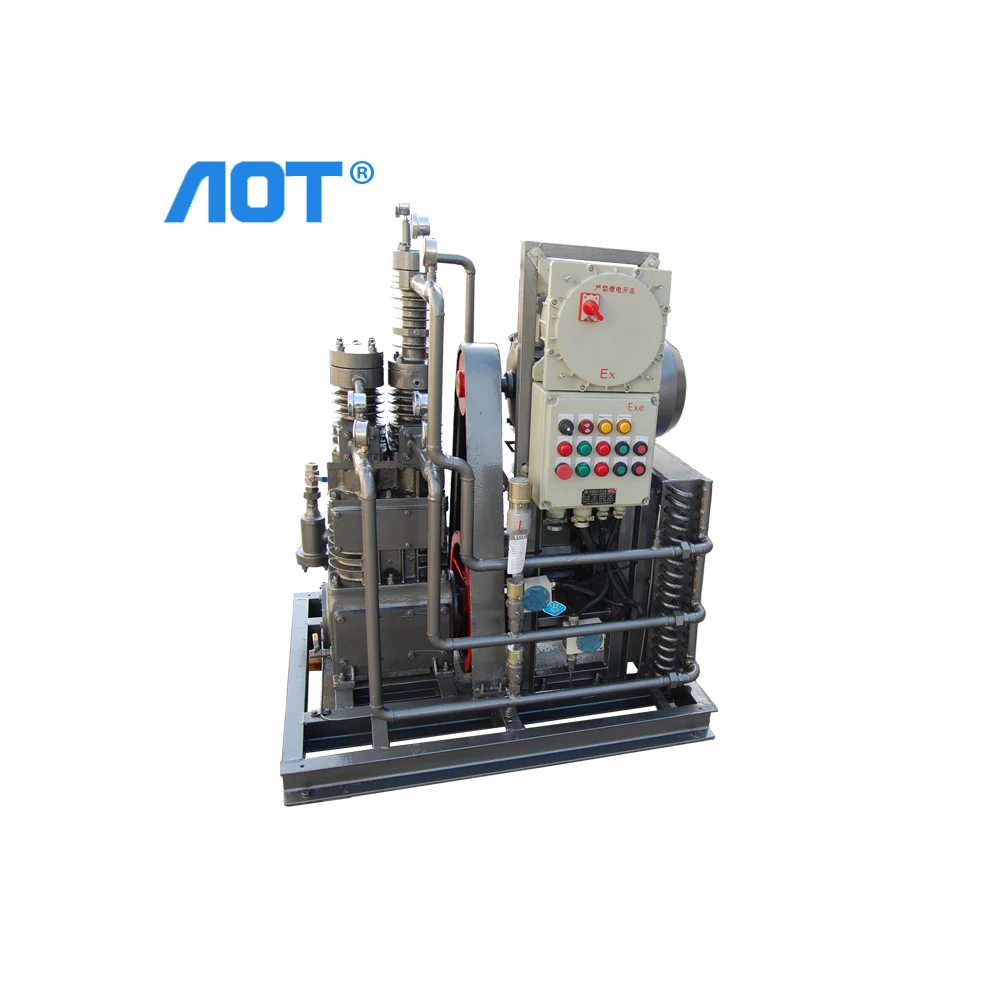 Quality Piston Air Compressor Pump Heads Natural Gas Station Dental Air Compressor