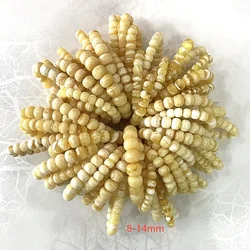 Muslim tiger skin bracelet drum prices russia baltic porcelain white natural rosary amber prayer beads