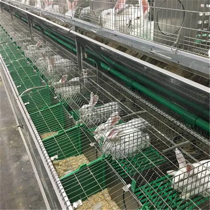 Exquisite rabbit cages/Automated controlled system/Low Carbon Steel Wire