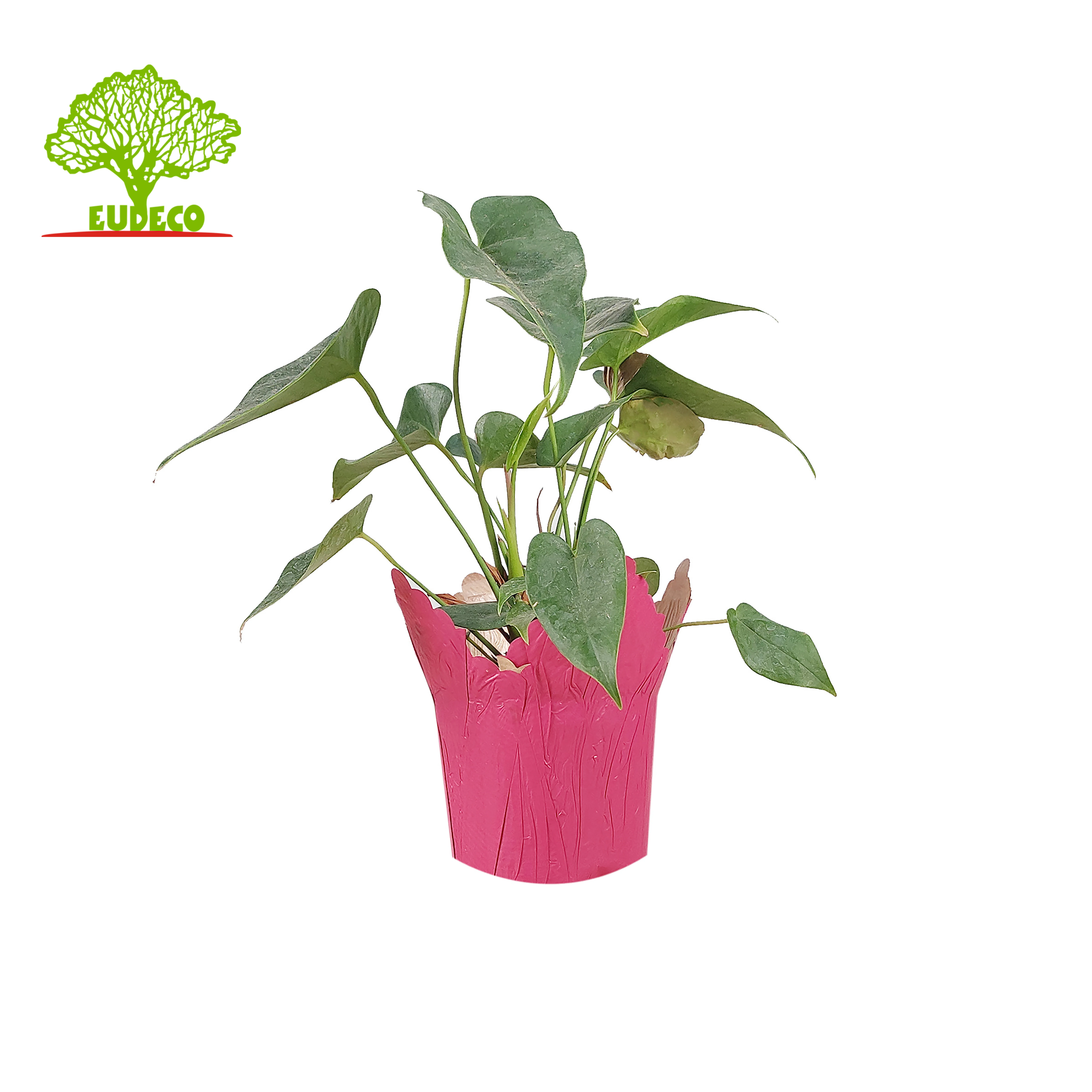 Pot Cover Flower Sleeves for Keeping Bouquets Moist While Sendin Bopp Printing Wholesale Wrapping Paper