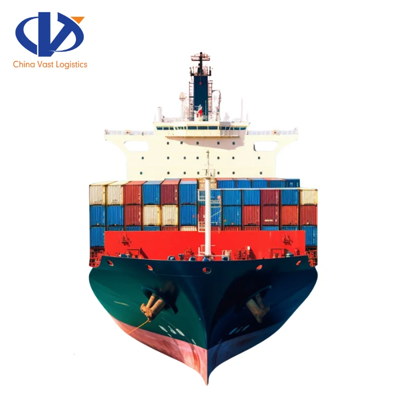 Xiamen China International Freight Forwarder to Montreal Canada Ocean Container Service FCL Shipping Agent