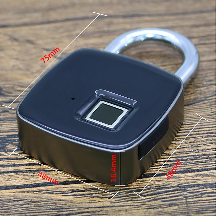 Lock bags finger print lock body portable cable electronic lock padlocks
