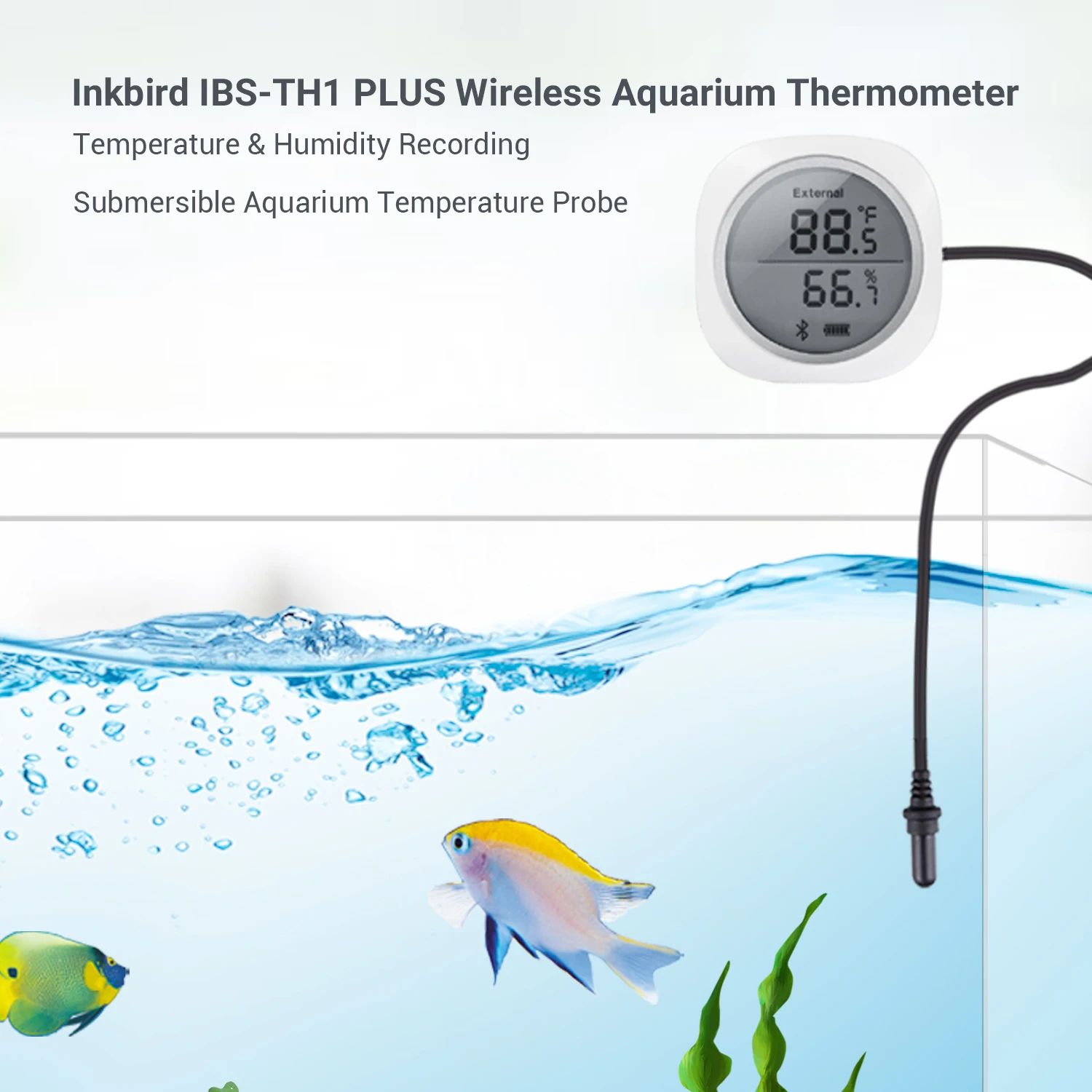 INKBIRD IBS-TH1 Plus Wireless Thermometer and Hygrometer with APP Blue tooth Temperature and Humidity Monitor Thermo-hygrometer
