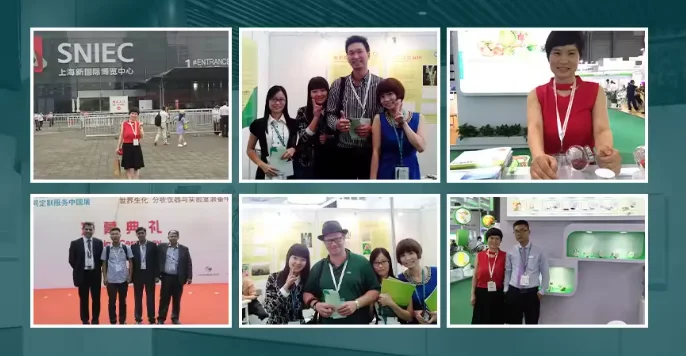 OEM ALL IN ONE probiotics for women probiotics supplement with D-Mannose Cranberry Milk Thistle 60 capsules per bottle