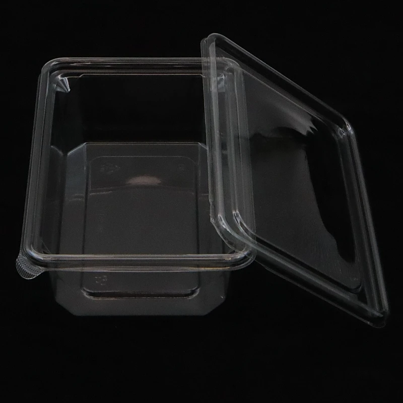 Super Big plastic bento lunch box packaging plastic small cake blister package