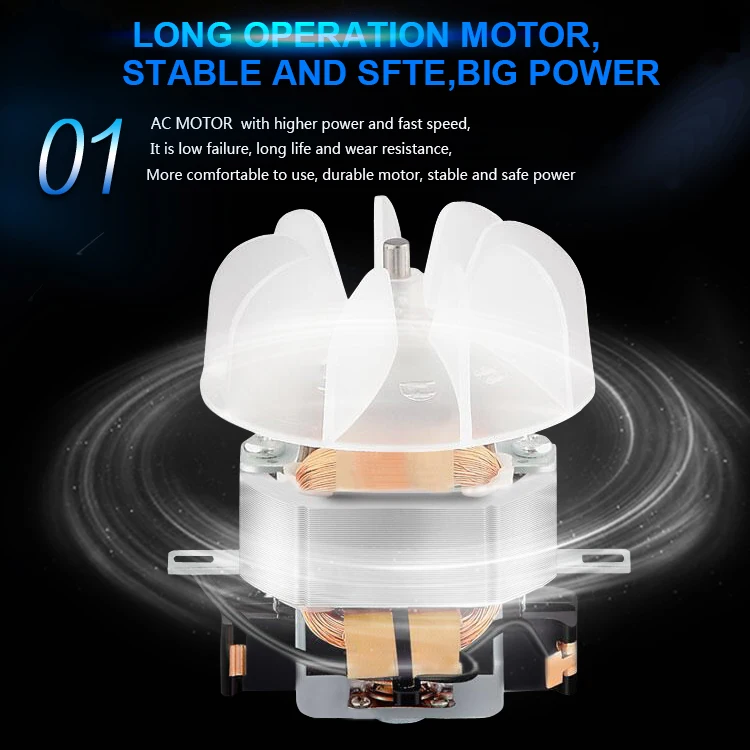 Professional 2200Watt High-Speed Salon Hair Dryer Portable Negative Ion Blower OEM Brand Ionic for Home Travel