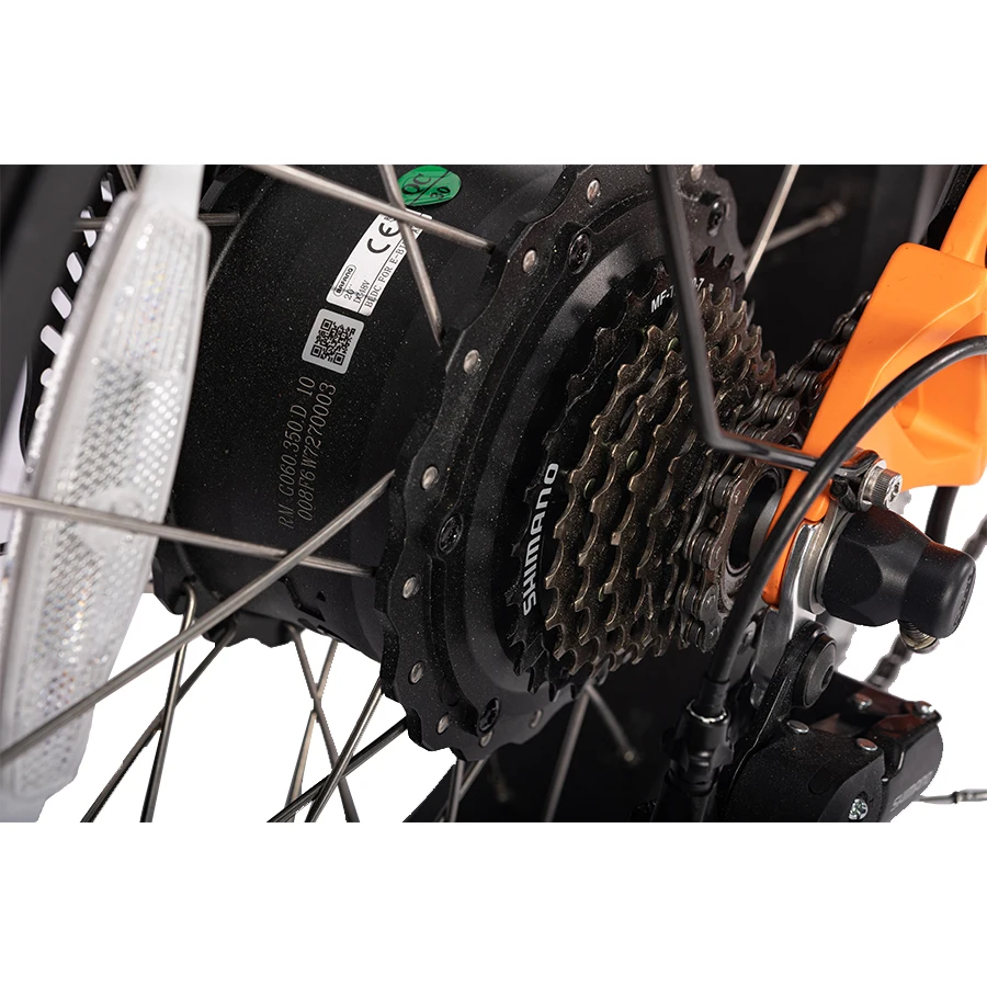 Full suspension fatbike electric 20 inch 250w fat tire ebike cheap price electric dirt bike bicycle electric