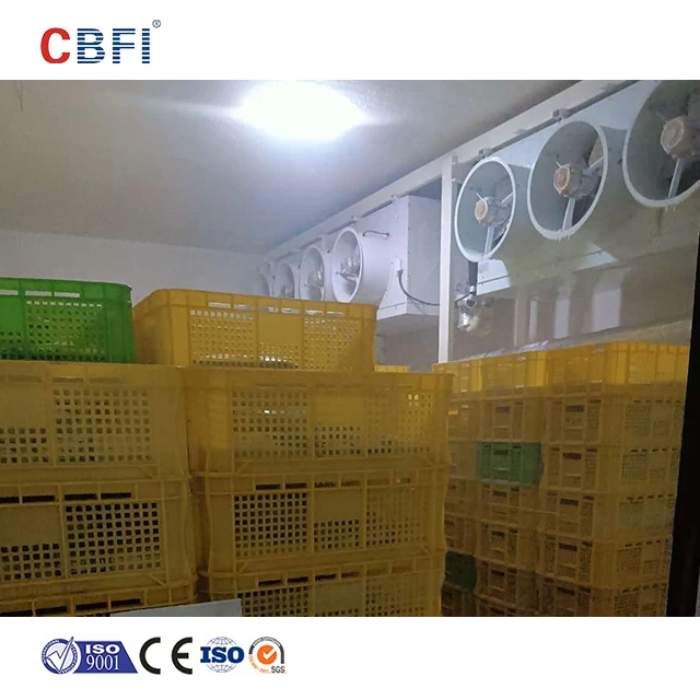 blast freezer refrigerated container cool room freezer container cold storage walk in cold room cold room panels keep fresh