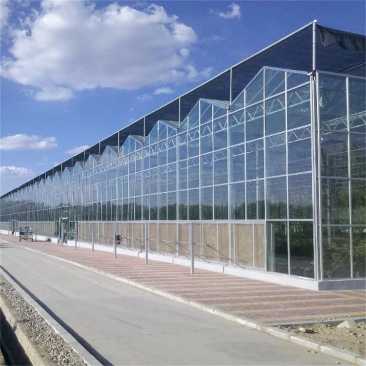 Tempered Glass Venlo Multi-Span Automatic Green House Commercial Hydroponics Glass Greenhouse