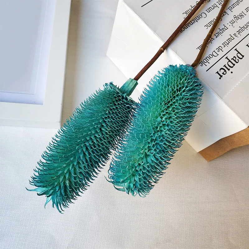 Good quality home decoration dry dipsacus sativus wholesale natural dried flower arrangement