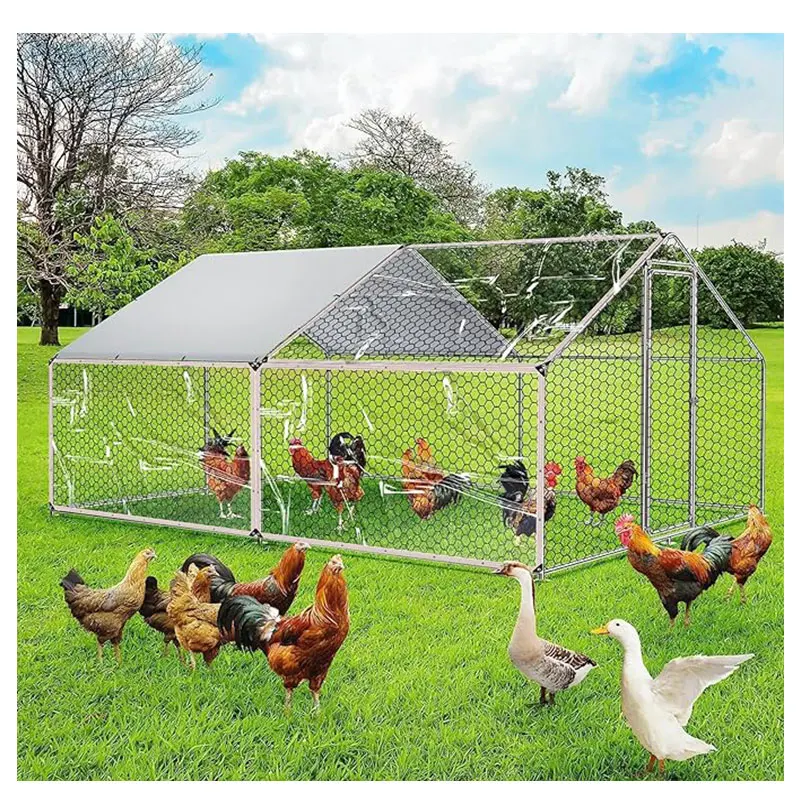 Edging Perforated Plastic Film Transparent Rainproof Greenhouse Cloth Fleshy Flowers Insulation Cold Shade Sails Nets