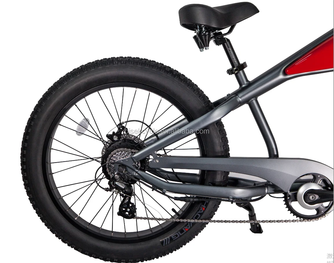 China-Made Retro Vintage 750W/1000W Electric Fat Bike Green Power Beach Cruiser E Bike Rear Hub Motor OEM/ODM Lithium Battery