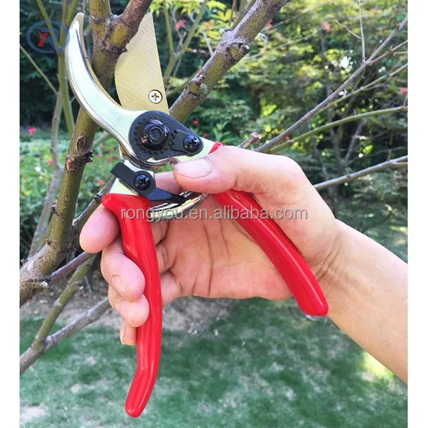 High Quality professional steel Garden Scissor Multifunctional Fruit Tree Pruning Scissors