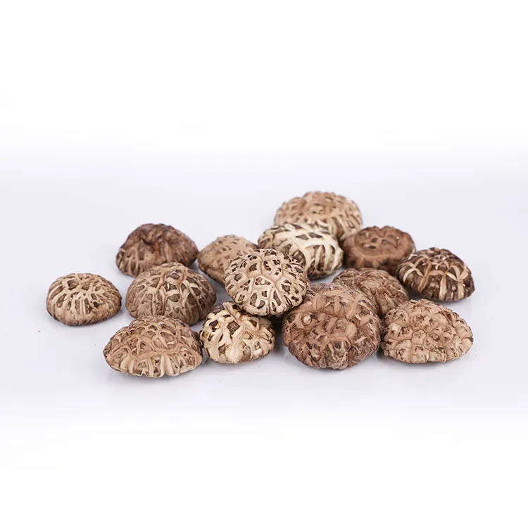Green Food Top Quality Flower Mushroom Dried Shiitake bags