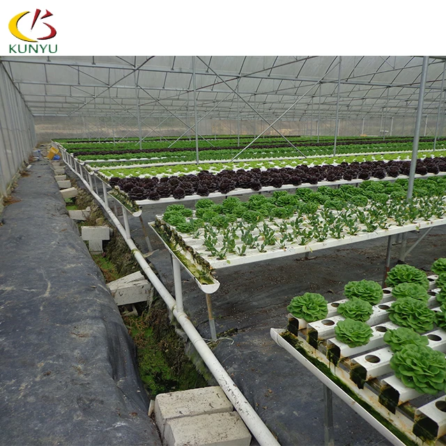 
Large sales square pvc tube for agriculture lettuce strawberry hydroponic growing system for greenhouse and indoor farming 