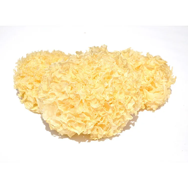 New Chinese Traditional Tremella Fuciformis Organic White Fungus Dried Snow Fungus
