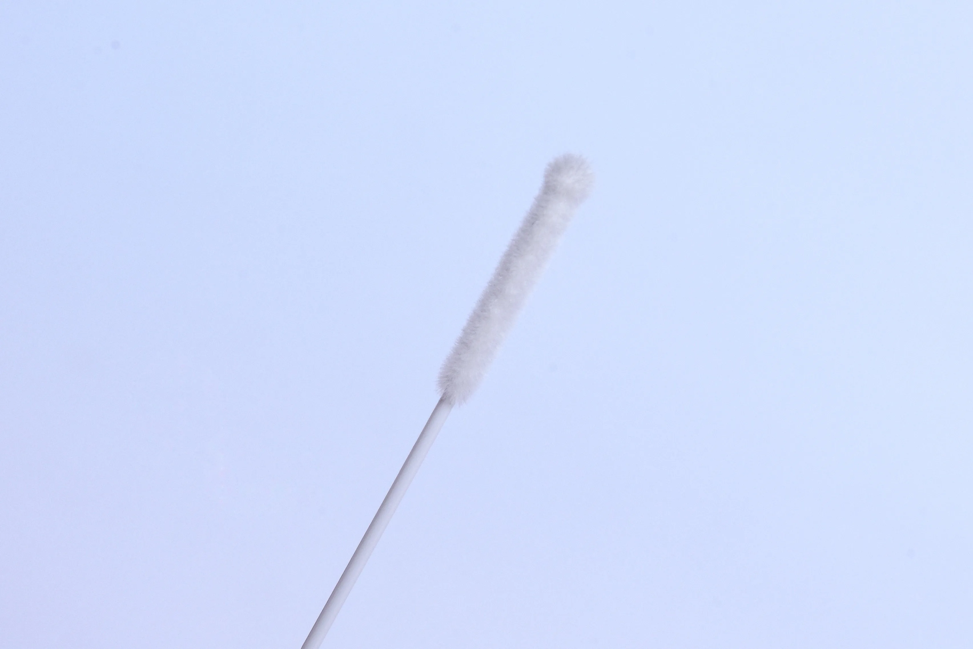 
yaohabio VTM viral transport media viral transport medium 