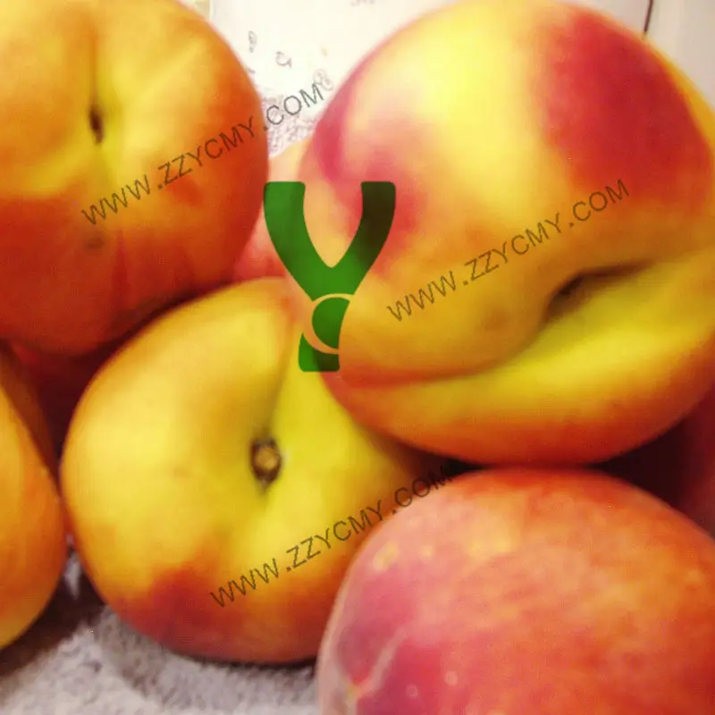 Canned fruit yellow peach tin can of HACCP certified products