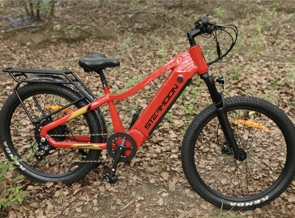 Steamoon 27.5 29inch eBike Electric Bicycle 2.215 Tire Electric Bike Hybrid City Road Mountain 750w 1000w Electric Dirt Bike