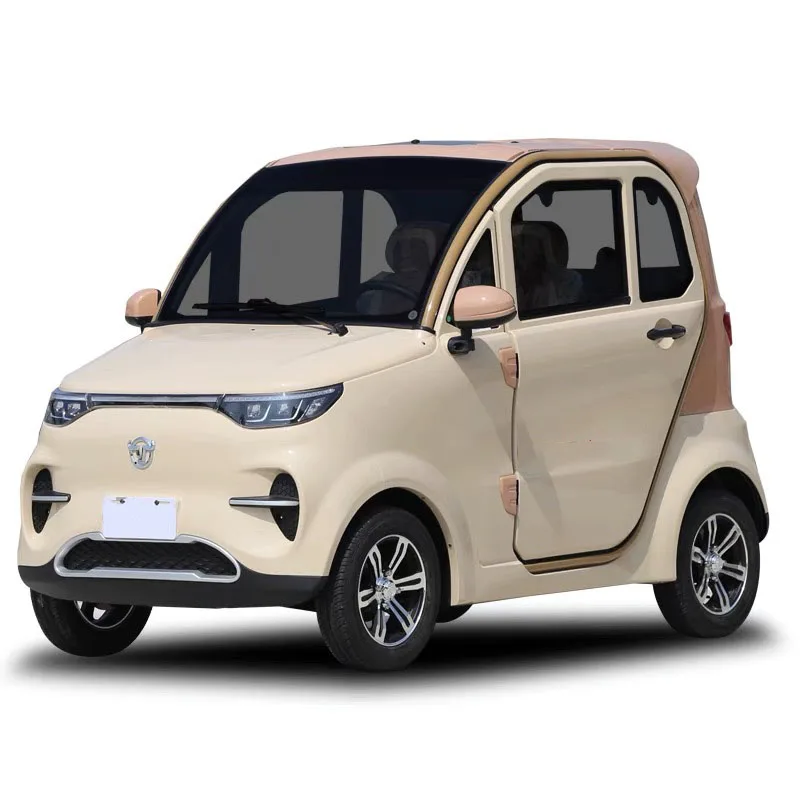 2 Seater Electric Car EEC Approved Mini and Fashion Electric Car