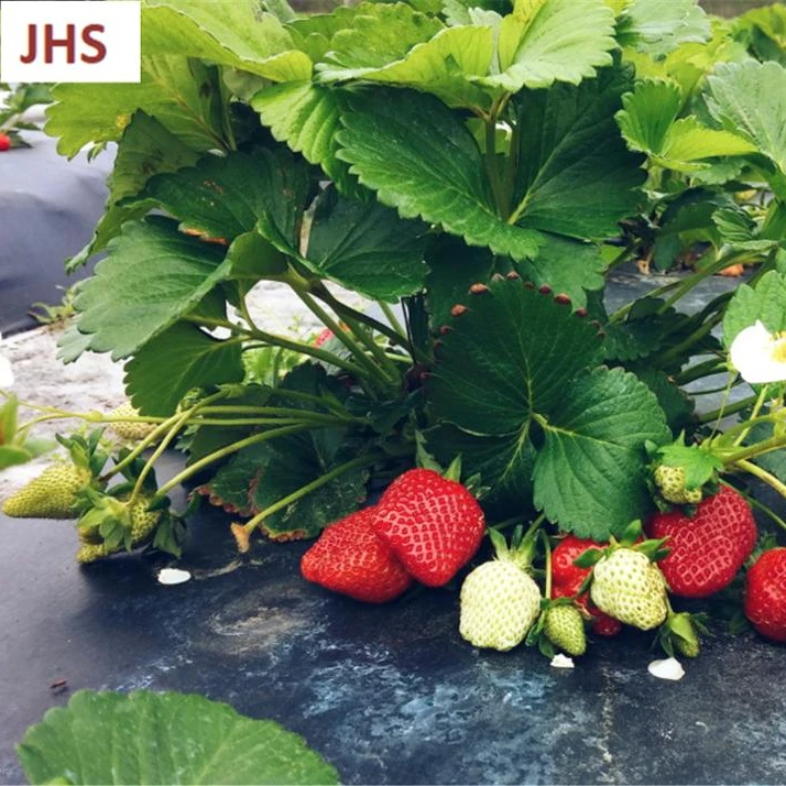 
 Плетеная Нетканая ткань, Мульч-пленка, морозное одеяло, сельскохозяйственное покрытие, садовая флисовая ткань  