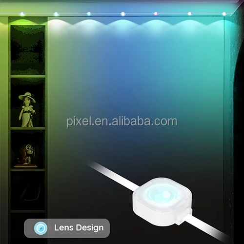 Waterproof Permanent Rgb Music Rhythm Bluetooth Christmas Eave light Outdoor Rgbic Led Point Light