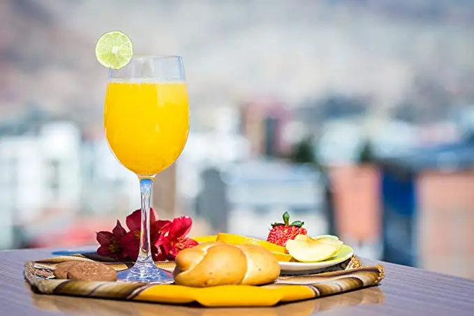 
600ml PETG durable luxury tritan long stemmed plastic wine glass 