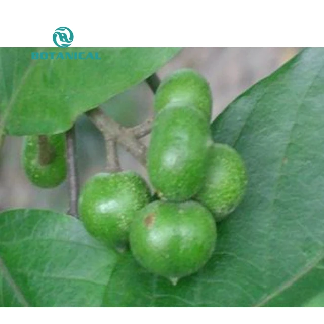B.C.I Supply African Plum Tree Extract African Prune Extract African Pygeum Powder