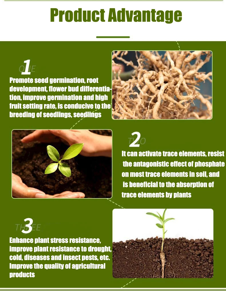 Lemandou Best sale 100% water dissoluble seaweed extract fertilizer for  plant growth