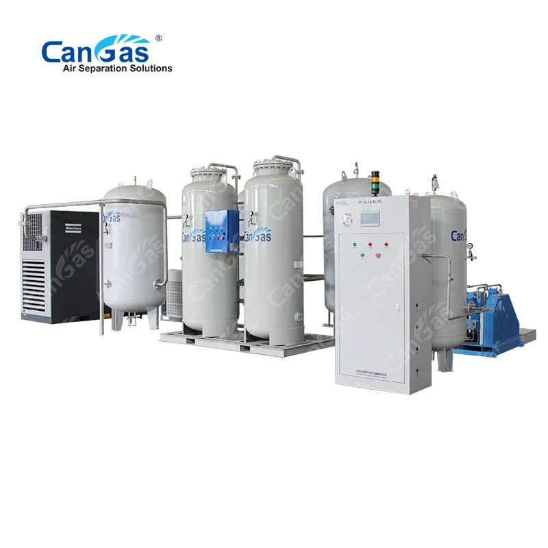 Gas Generation Equipment High Purity Oxygen Generator PSA Oxygen Plant Cost